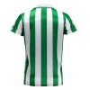 Camiseta de fútbol Real Betis Special Edition 23-24 - Hombre